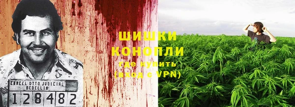 дурь Новокубанск