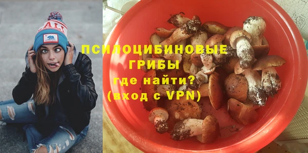 экстази Новозыбков